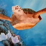 Jo Morris Paintings Turtle Joy